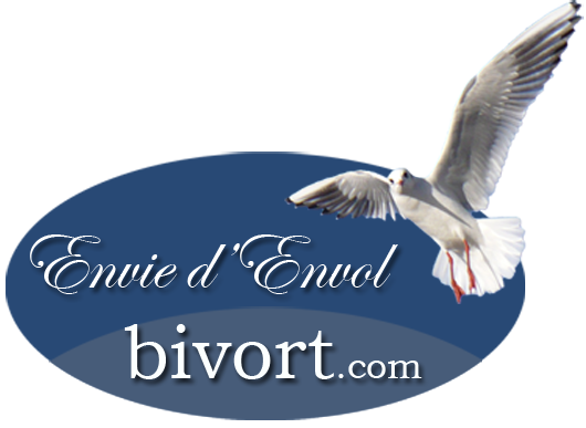 bivort.com